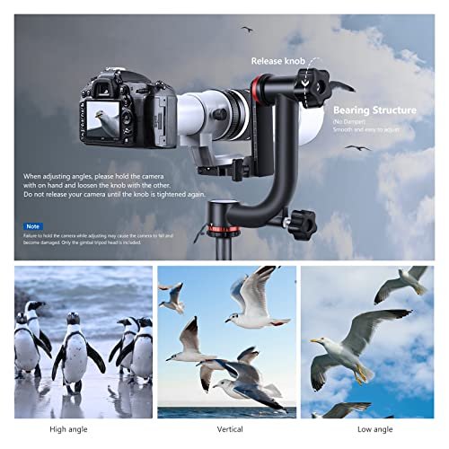 NEEWER Gimbal Tripod Head Professional Heavy Duty Aluminum Alloy with Arca Type Quick Release Plate, GM101 Supports Smoother 360 Degree Panoramic Shooting for DSLR Camera Up to 30lbs/13.6kg