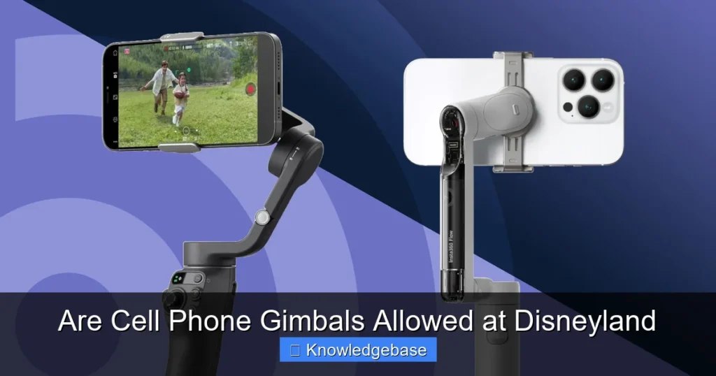 Are Cell Phone Gimbals Allowed at Disneyland