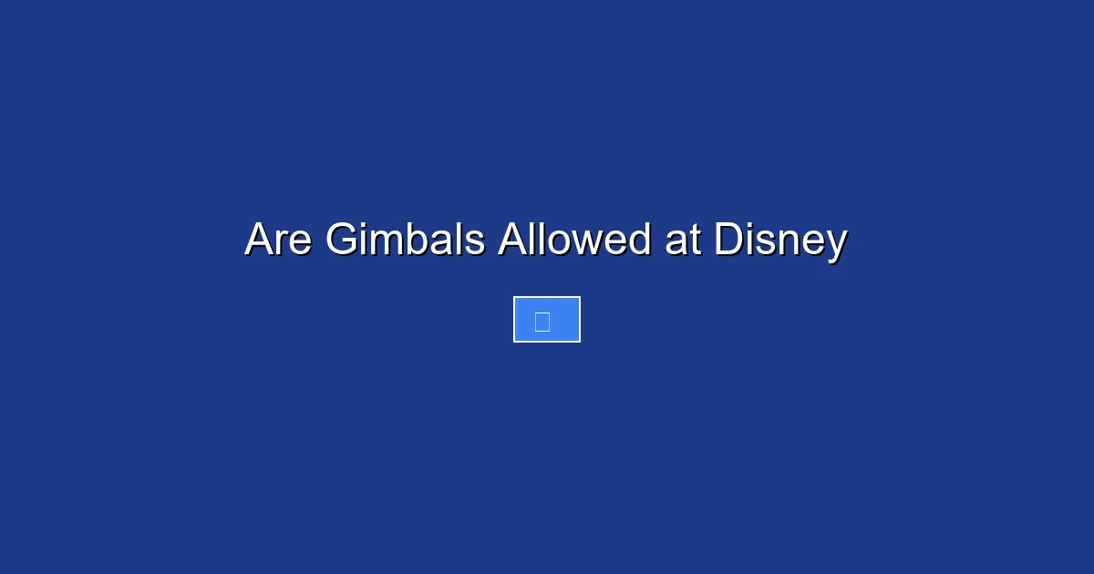 Are Gimbals Allowed at Disney