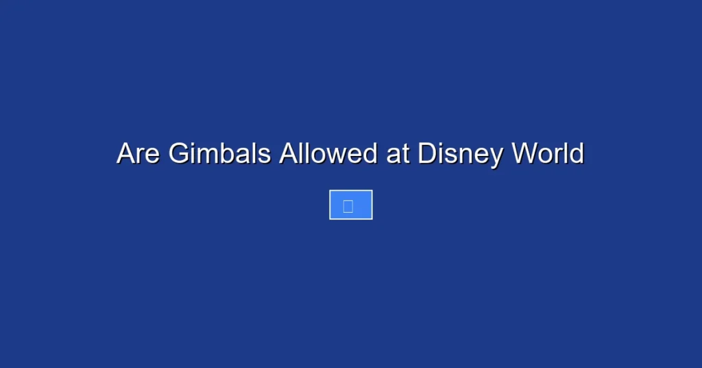 Are Gimbals Allowed at Disney World
