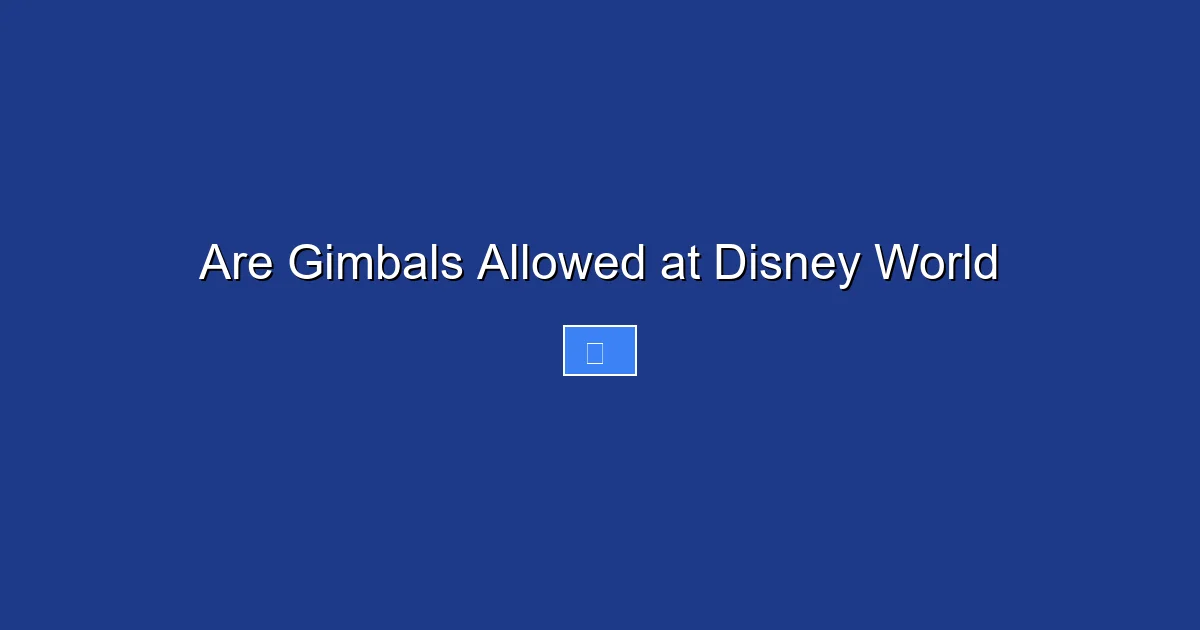 Are Gimbals Allowed at Disney World