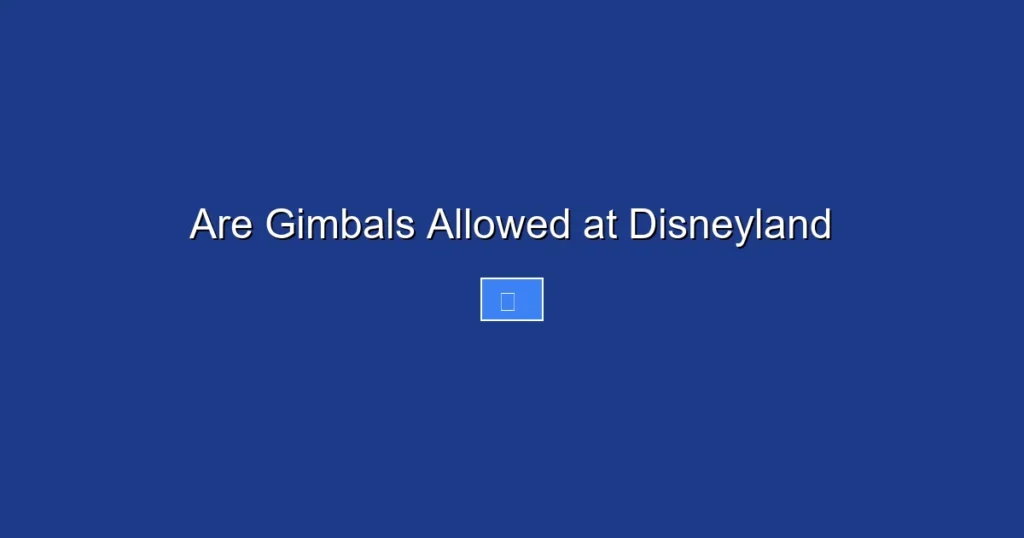 Are Gimbals Allowed at Disneyland