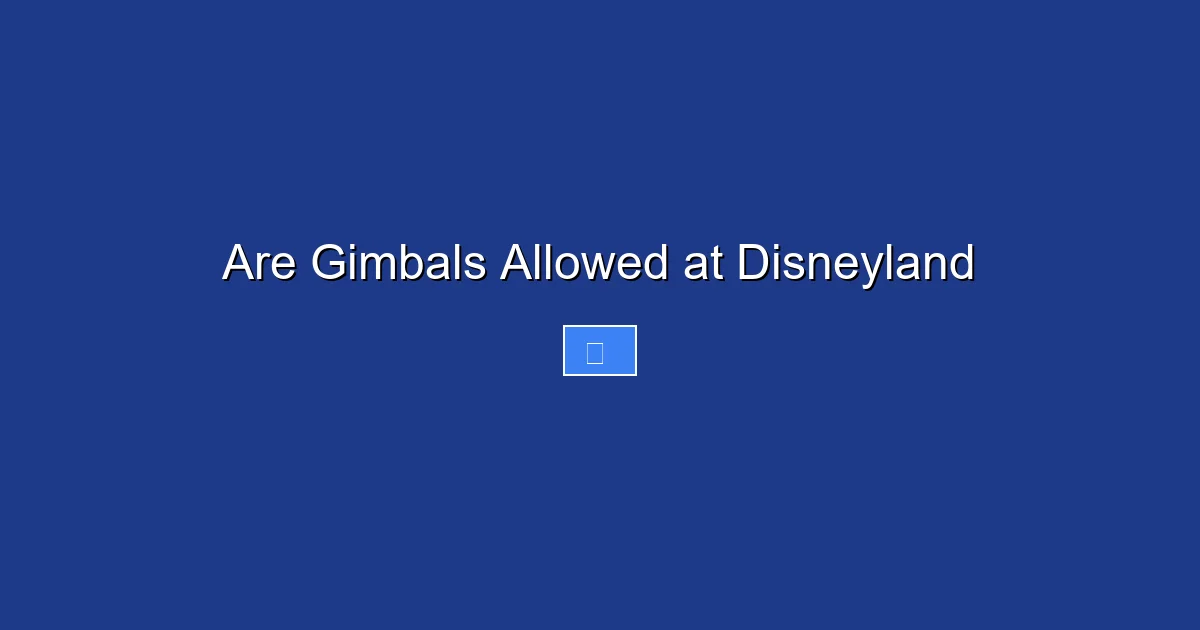 Are Gimbals Allowed at Disneyland