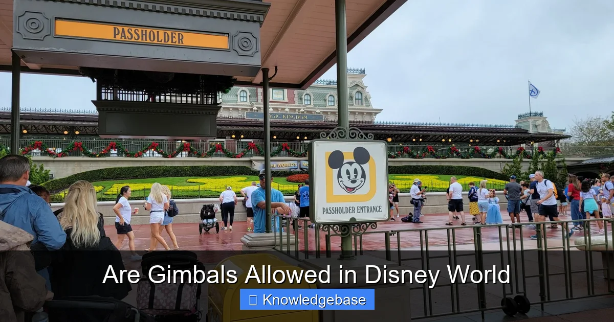 Are Gimbals Allowed in Disney World
