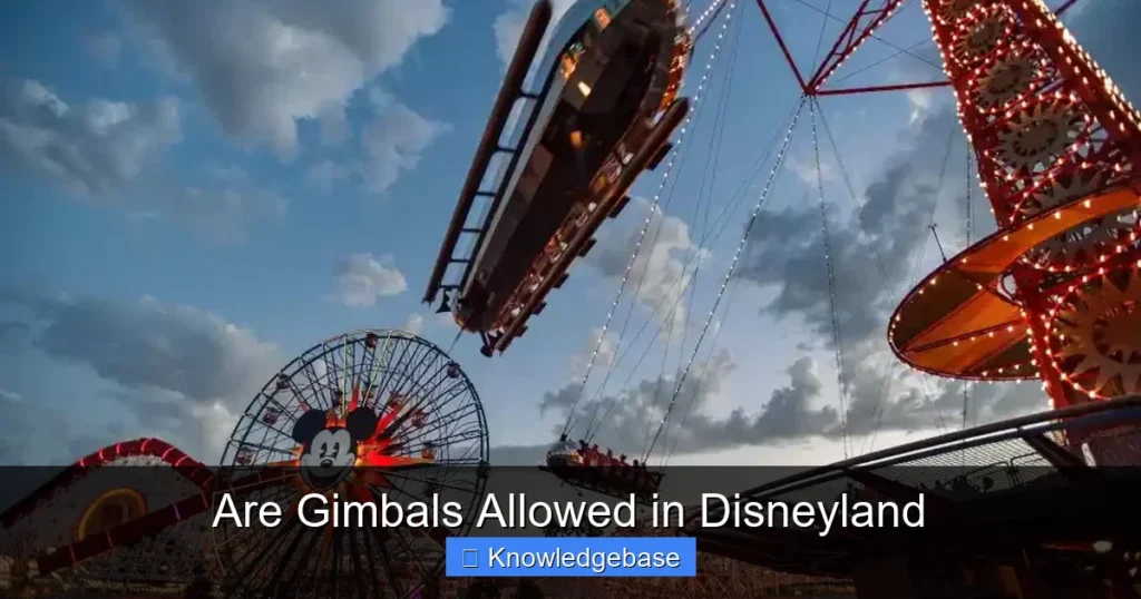 Are Gimbals Allowed in Disneyland