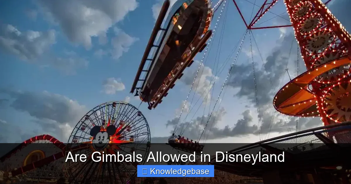 Are Gimbals Allowed in Disneyland