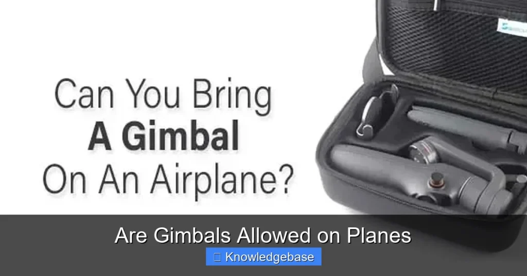Are Gimbals Allowed on Planes