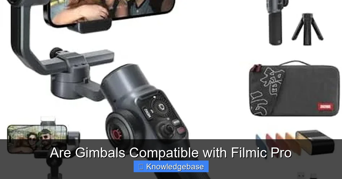 Are Gimbals Compatible with Filmic Pro
