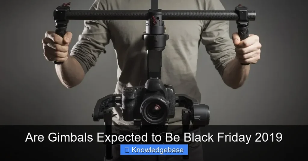 Are Gimbals Expected to Be Black Friday 2019