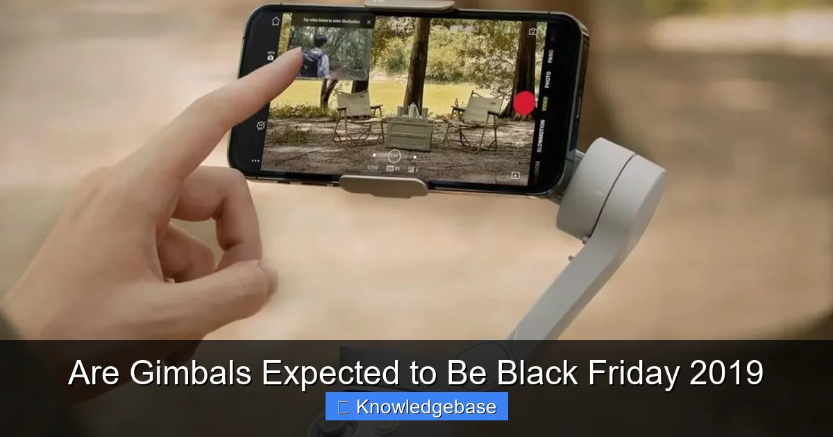 Are Gimbals Expected to Be Black Friday 2019