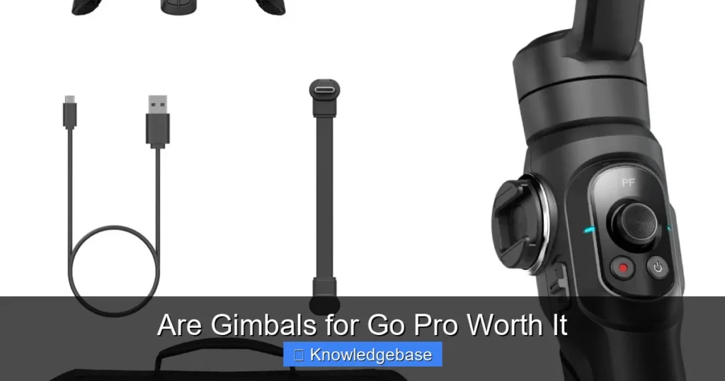 Are Gimbals for Go Pro Worth It