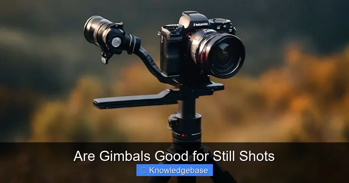 Are Gimbals Good for Still Shots