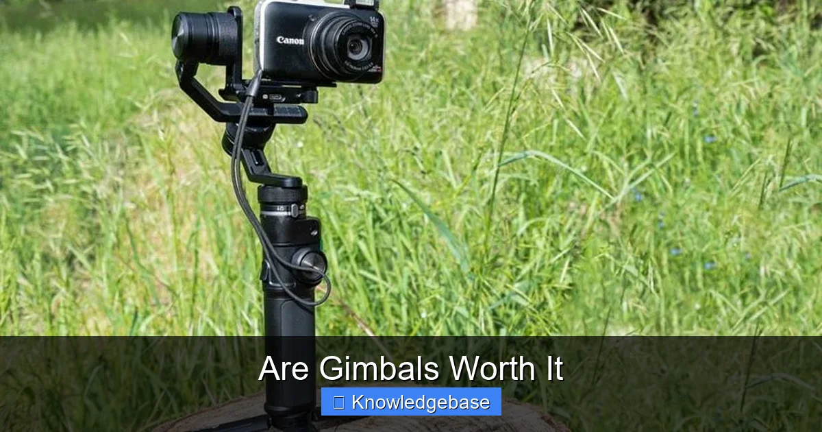 Are Gimbals Worth It