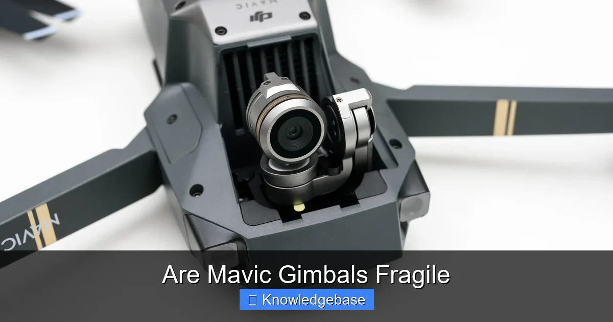 Are Mavic Gimbals Fragile
