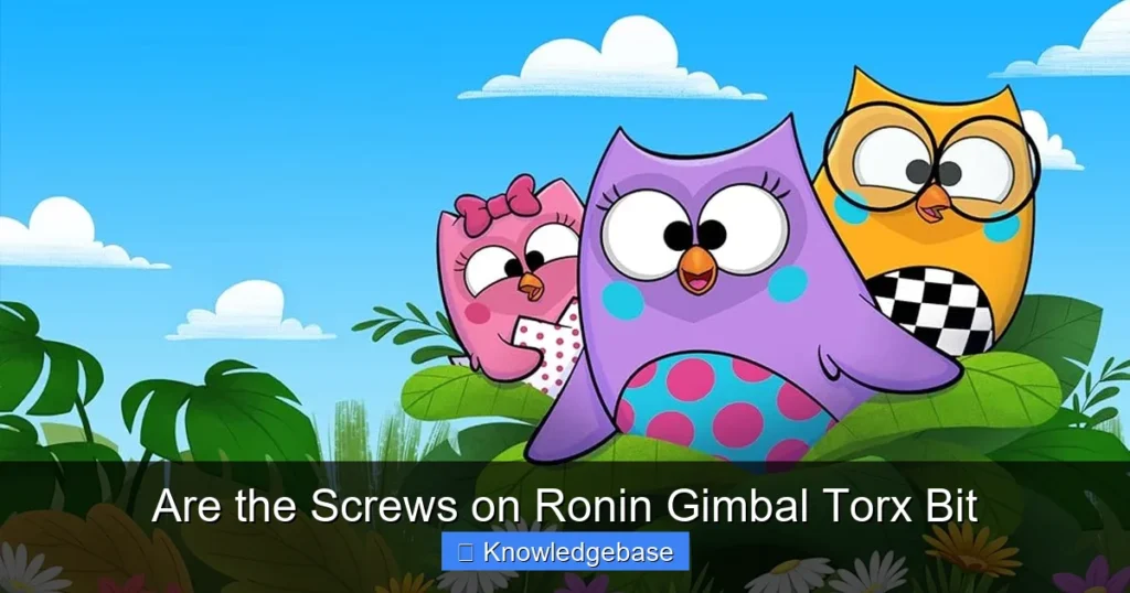 Are the Screws on Ronin Gimbal Torx Bit