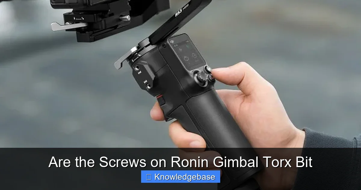 Are the Screws on Ronin Gimbal Torx Bit