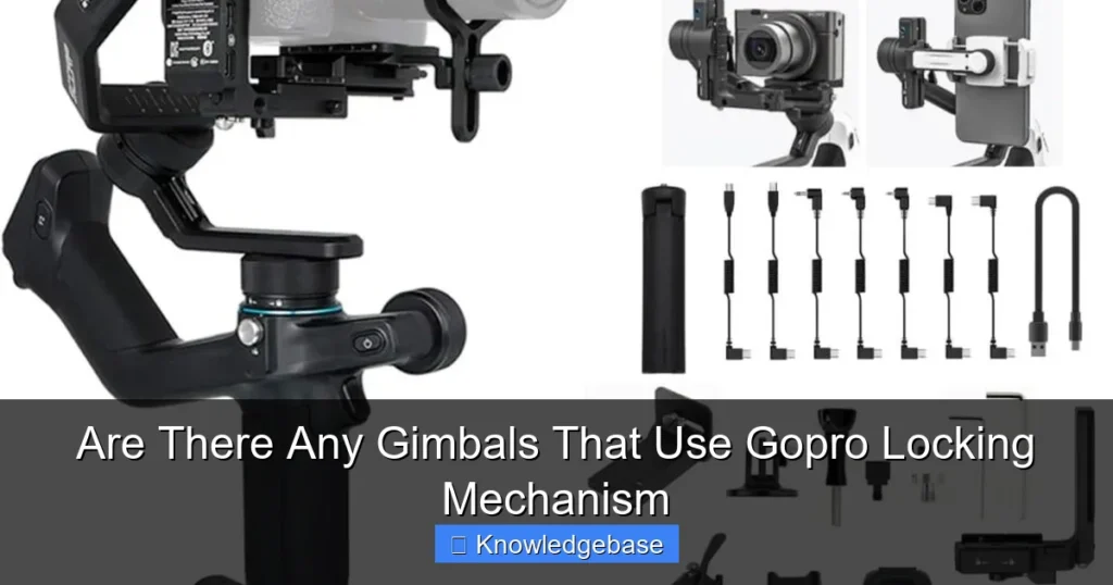 Are There Any Gimbals That Use Gopro Locking Mechanism
