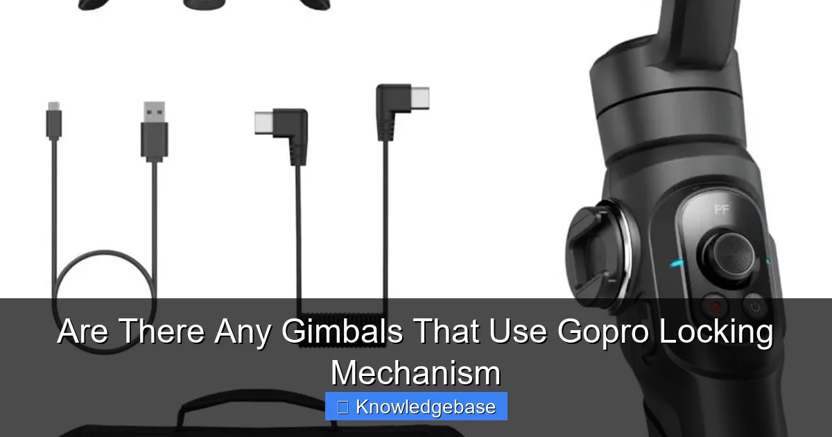 Are There Any Gimbals That Use Gopro Locking Mechanism