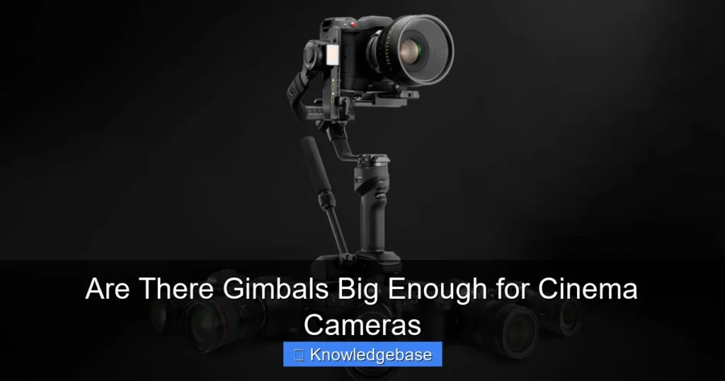 Are There Gimbals Big Enough for Cinema Cameras