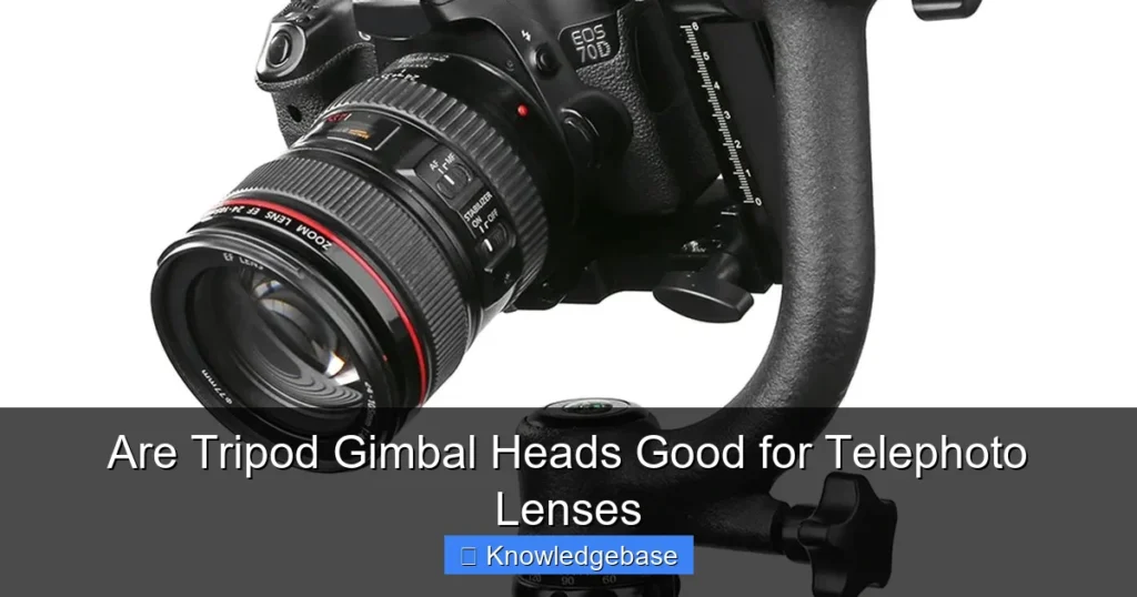Are Tripod Gimbal Heads Good for Telephoto Lenses