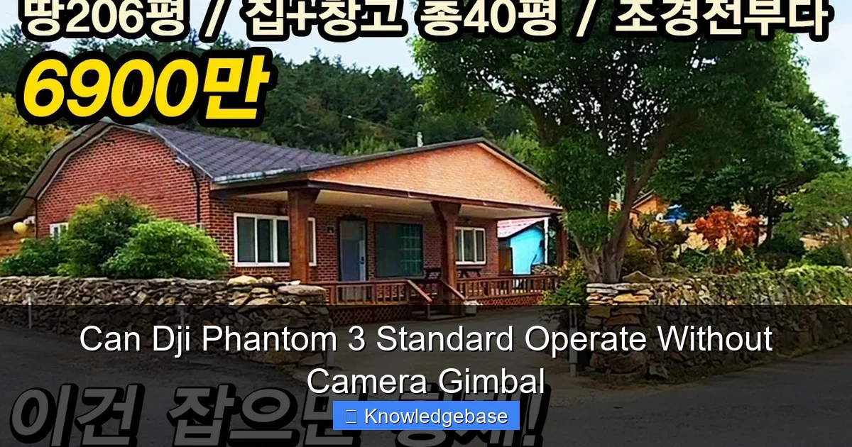 Can Dji Phantom 3 Standard Operate Without Camera Gimbal
