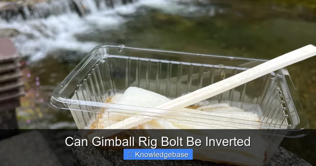 Can Gimball Rig Bolt Be Inverted