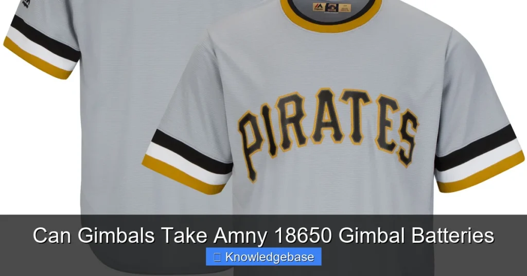 Can Gimbals Take Amny 18650 Gimbal Batteries