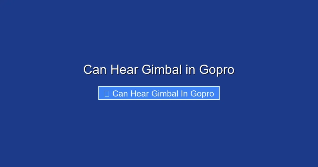 Can Hear Gimbal in Gopro