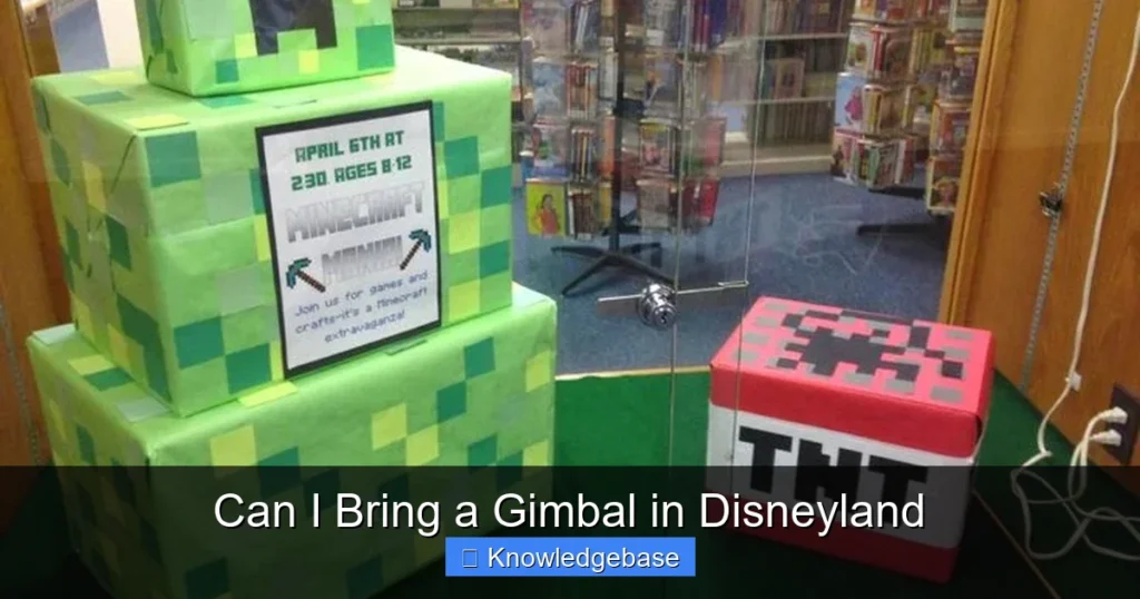 Can I Bring a Gimbal in Disneyland