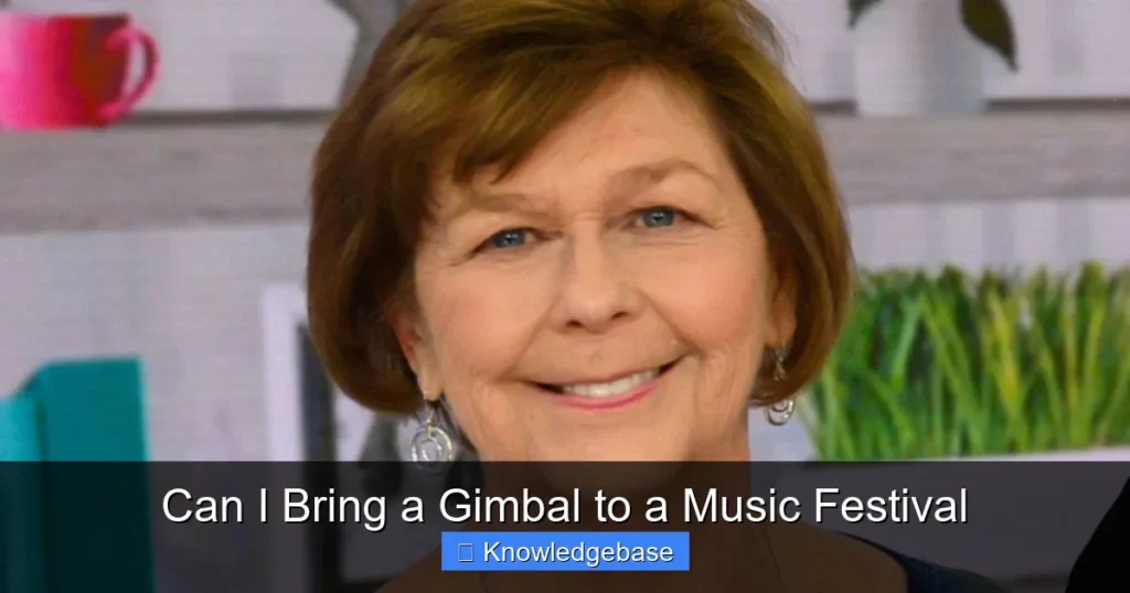 Can I Bring a Gimbal to a Music Festival