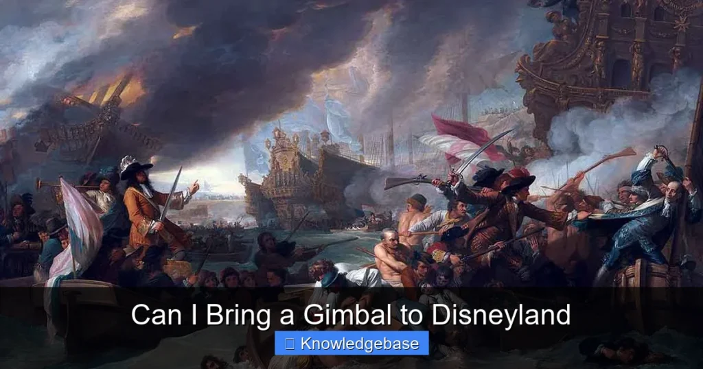 Can I Bring a Gimbal to Disneyland