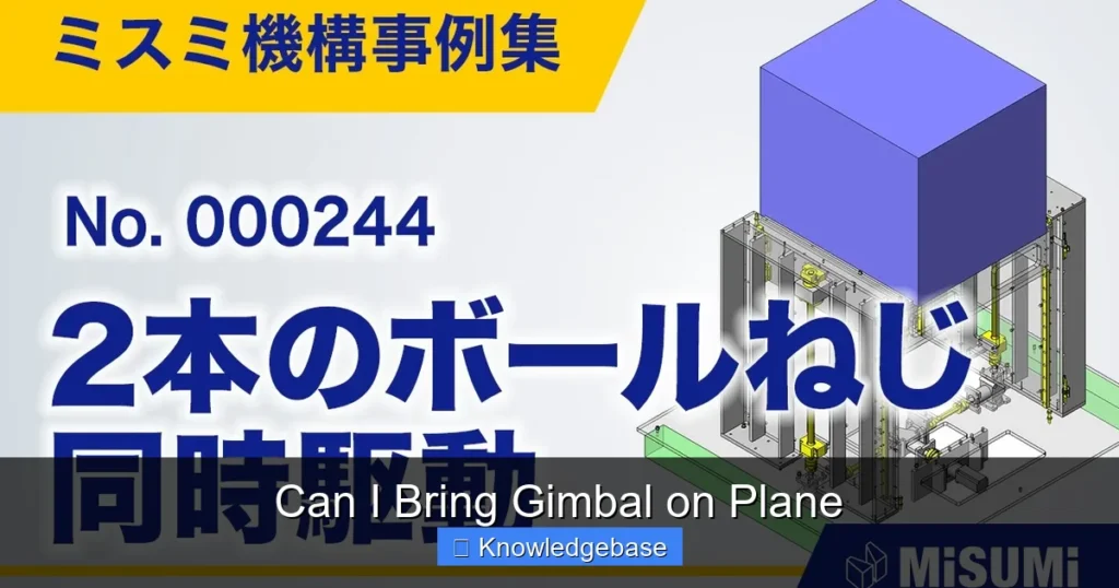 Can I Bring Gimbal on Plane