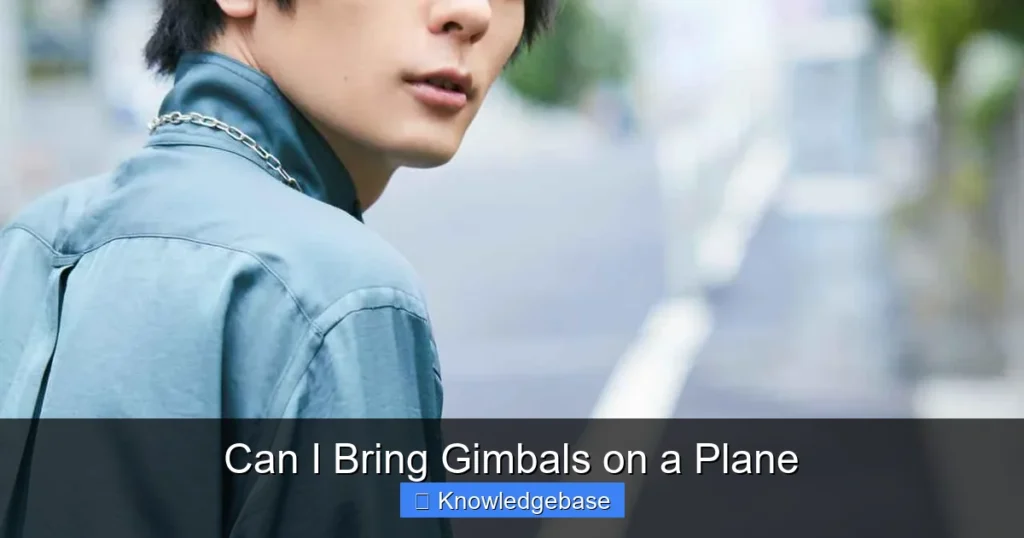 Can I Bring Gimbals on a Plane