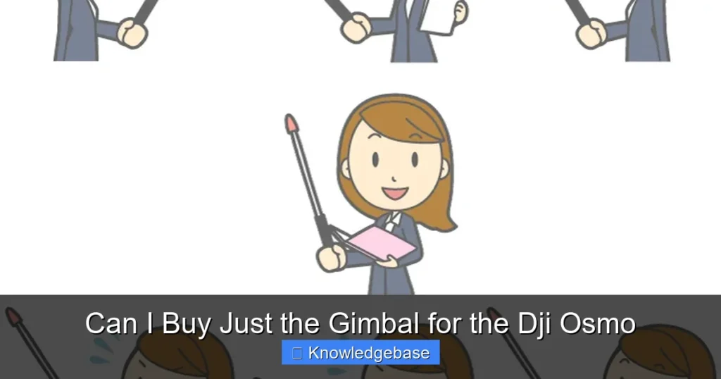 Can I Buy Just the Gimbal for the Dji Osmo