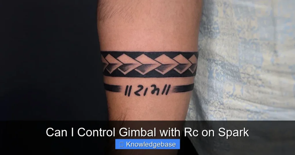 Can I Control Gimbal with Rc on Spark