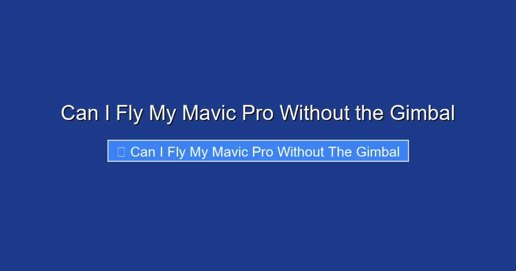 Can I Fly My Mavic Pro Without the Gimbal