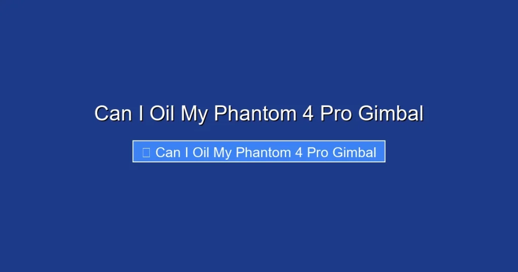 Can I Oil My Phantom 4 Pro Gimbal
