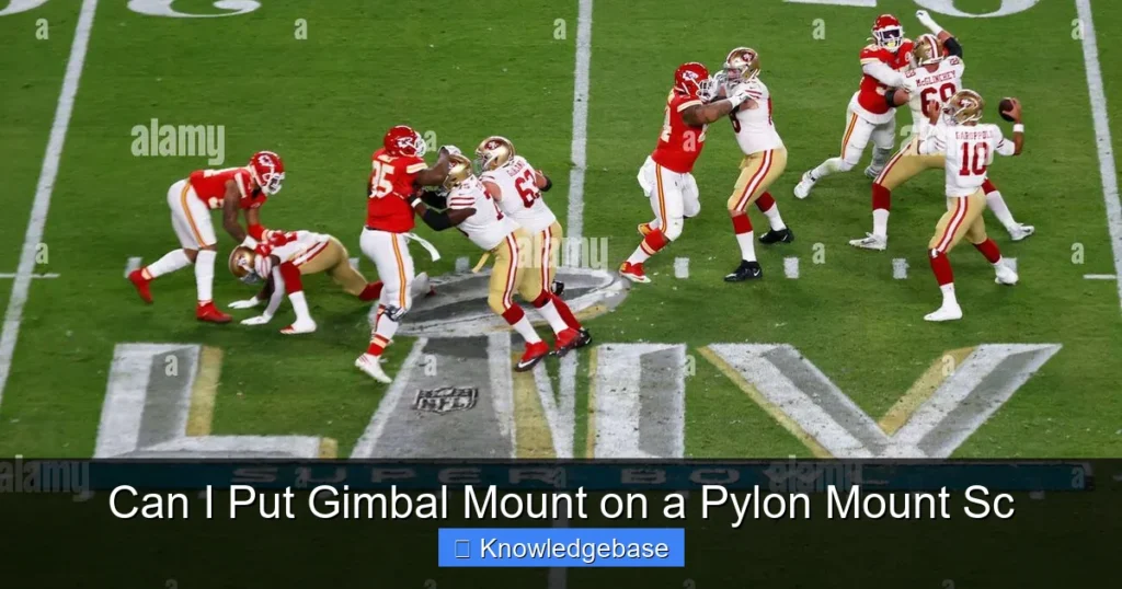 Can I Put Gimbal Mount on a Pylon Mount Sc