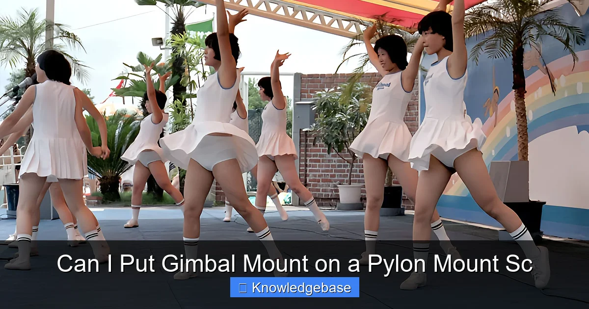 Can I Put Gimbal Mount on a Pylon Mount Sc