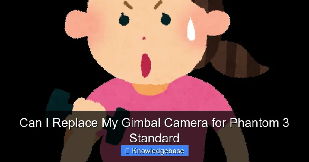 Can I Replace My Gimbal Camera for Phantom 3 Standard