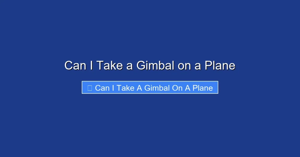 Can I Take a Gimbal on a Plane