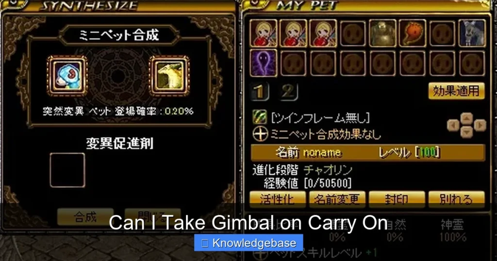 Can I Take Gimbal on Carry On