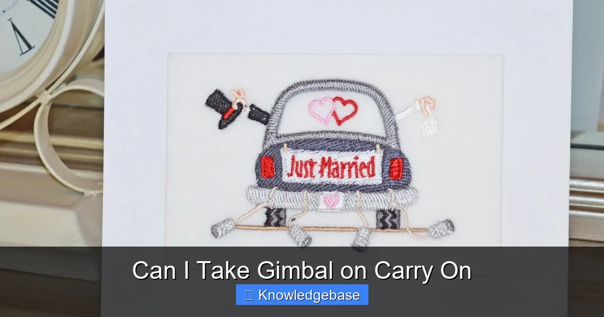 Can I Take Gimbal on Carry On