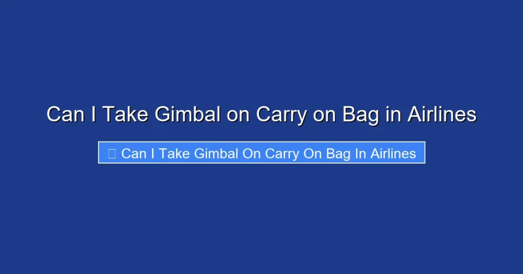 Can I Take Gimbal on Carry on Bag in Airlines