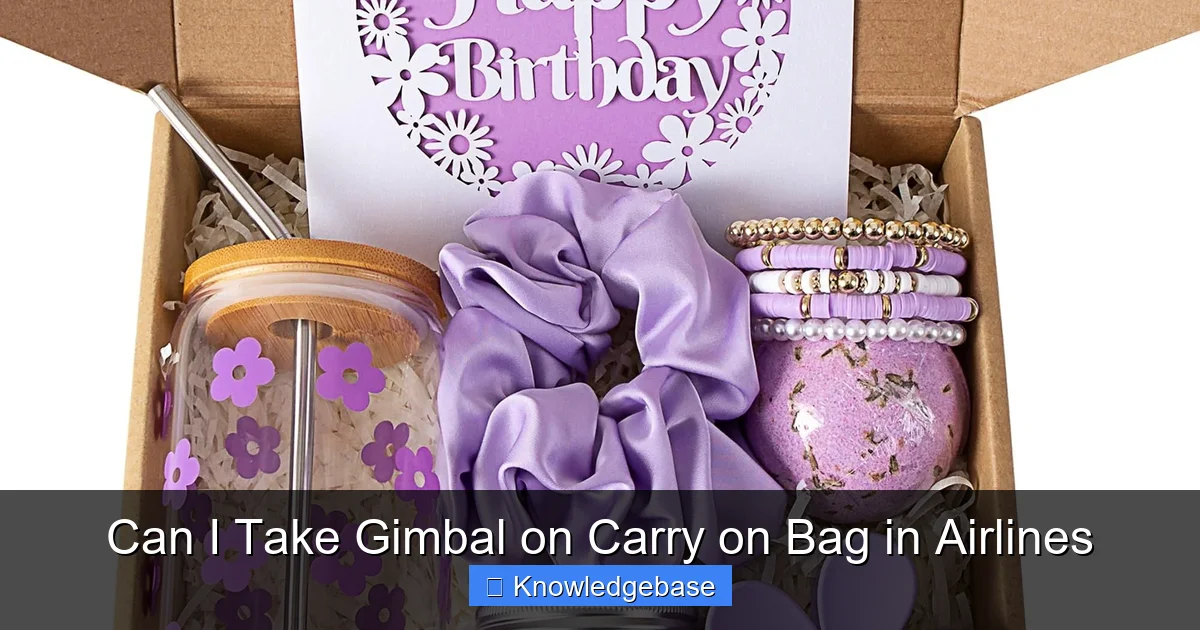 Can I Take Gimbal on Carry on Bag in Airlines
