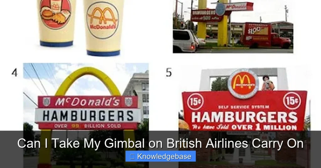 Can I Take My Gimbal on British Airlines Carry On