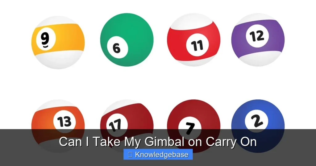 Can I Take My Gimbal on Carry On