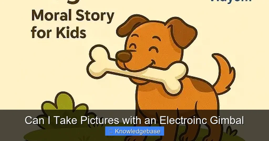 Can I Take Pictures with an Electroinc Gimbal