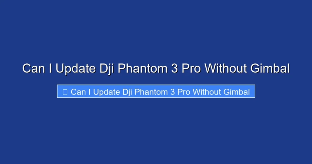 Can I Update Dji Phantom 3 Pro Without Gimbal