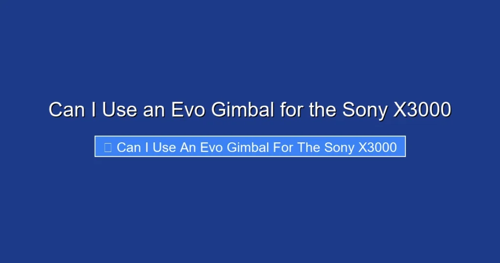 Can I Use an Evo Gimbal for the Sony X3000